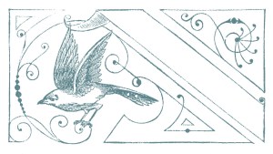 Starting this St Valentine's Day... a year long love letter from one man to the world of female fragrance